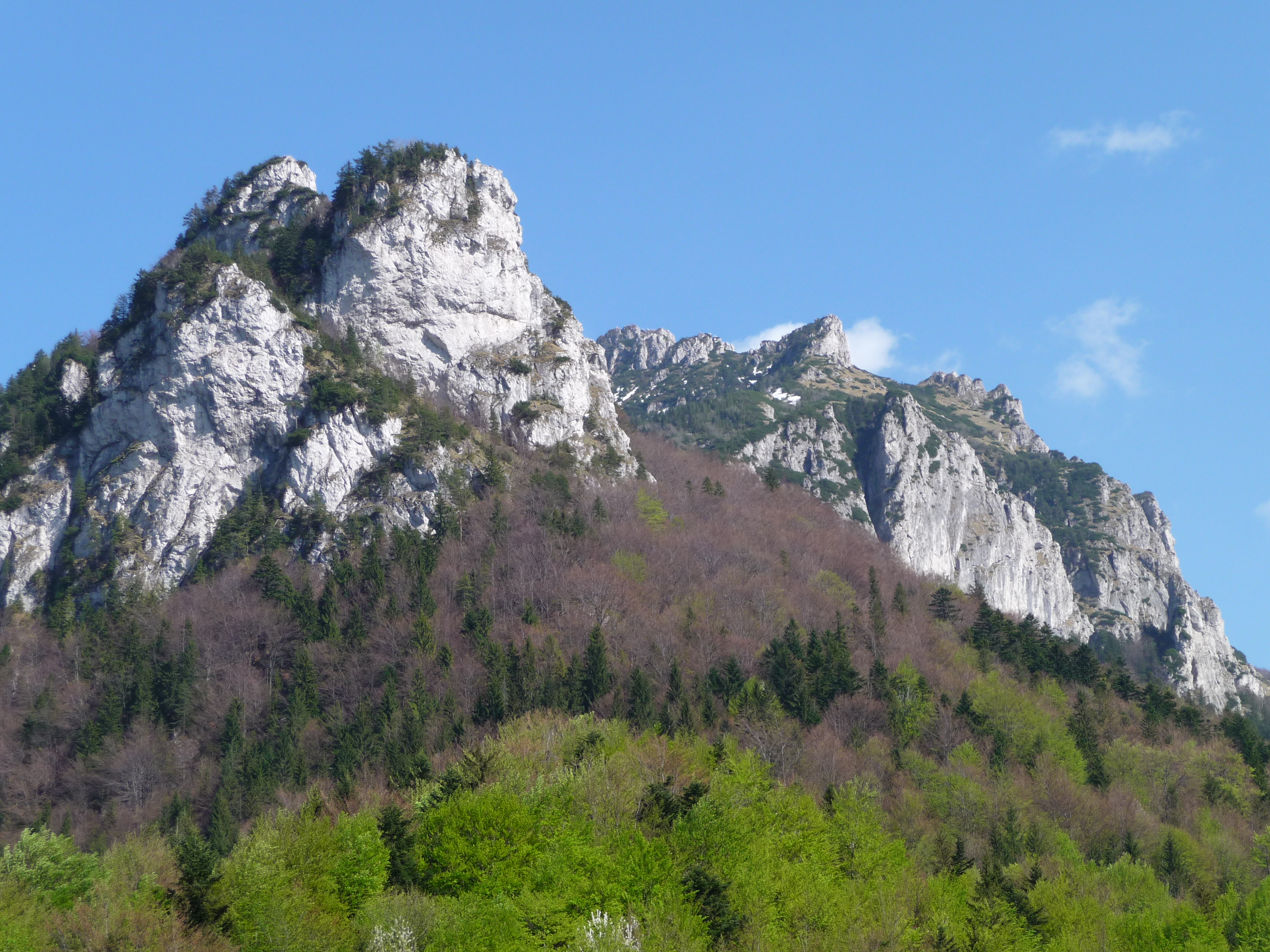 P1000309.JPG
