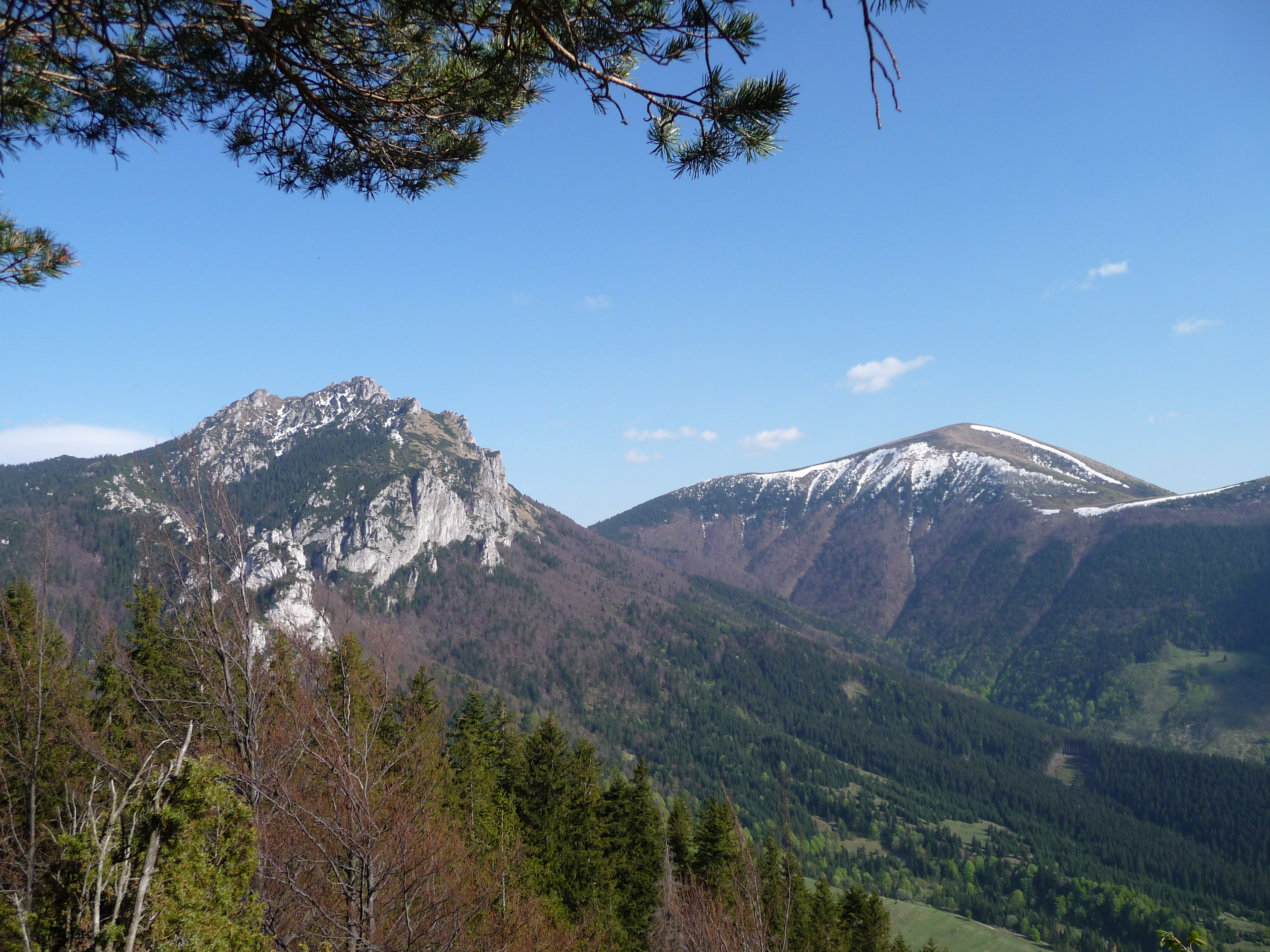 P1000310.JPG