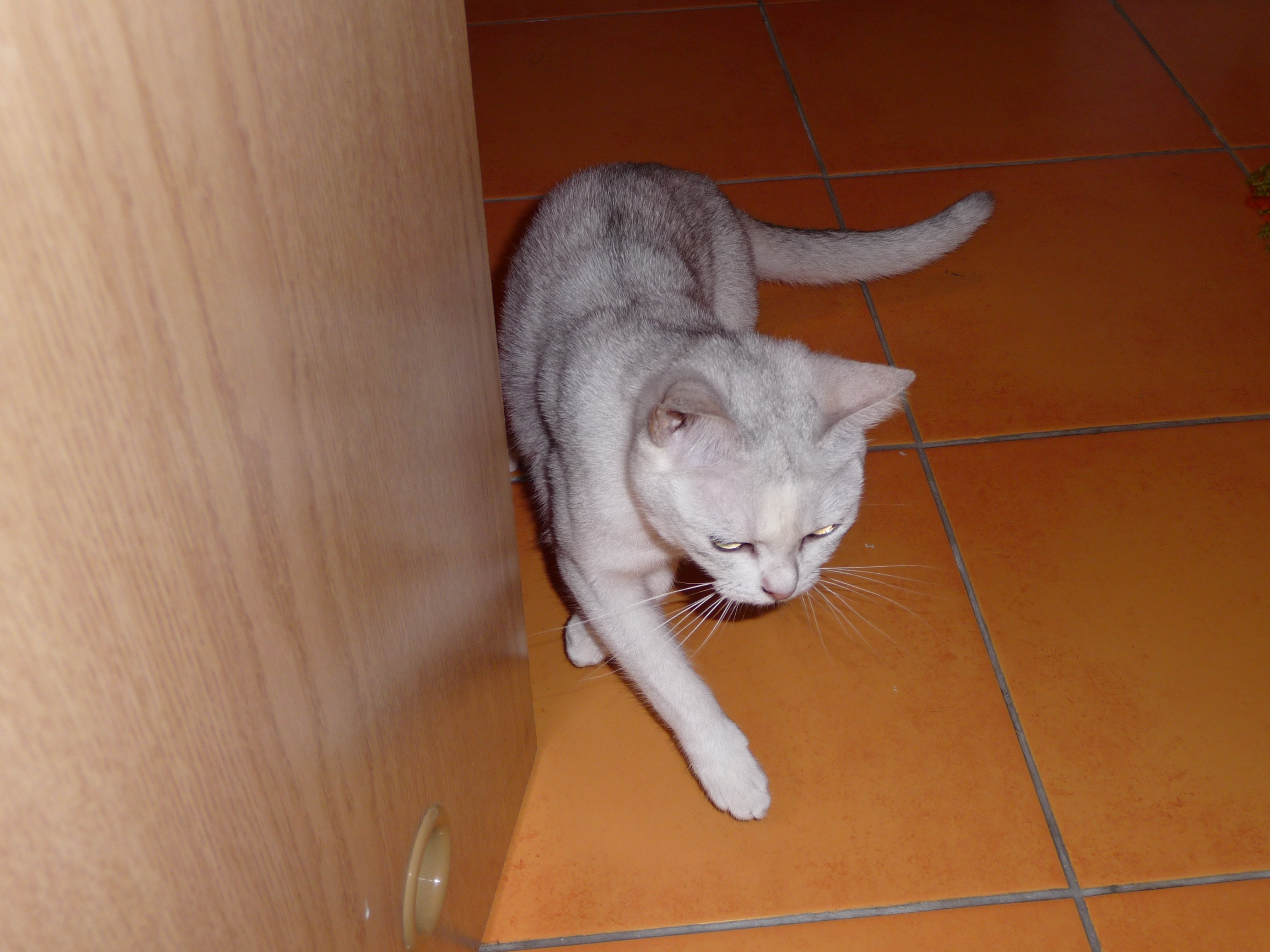 P1000329.JPG