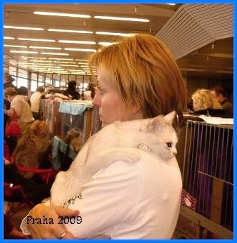 MVK_Praha,_Kongresove_C_087_zm